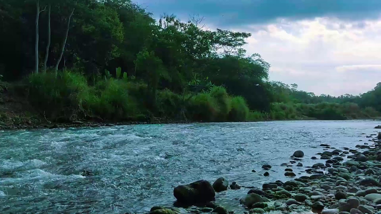 Serenity River Sounds  10 Hours Deep Rest  Calm