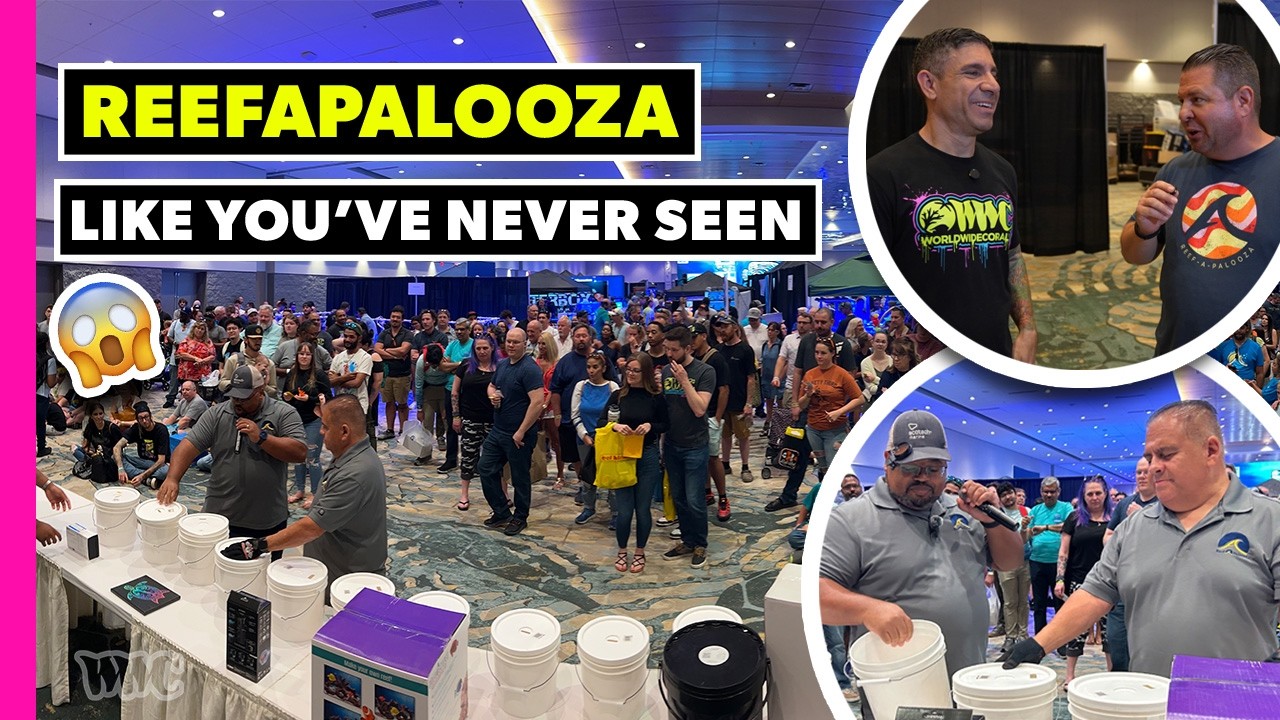 Reefapalooza Orlando 2025: INSANE Coral Drops!