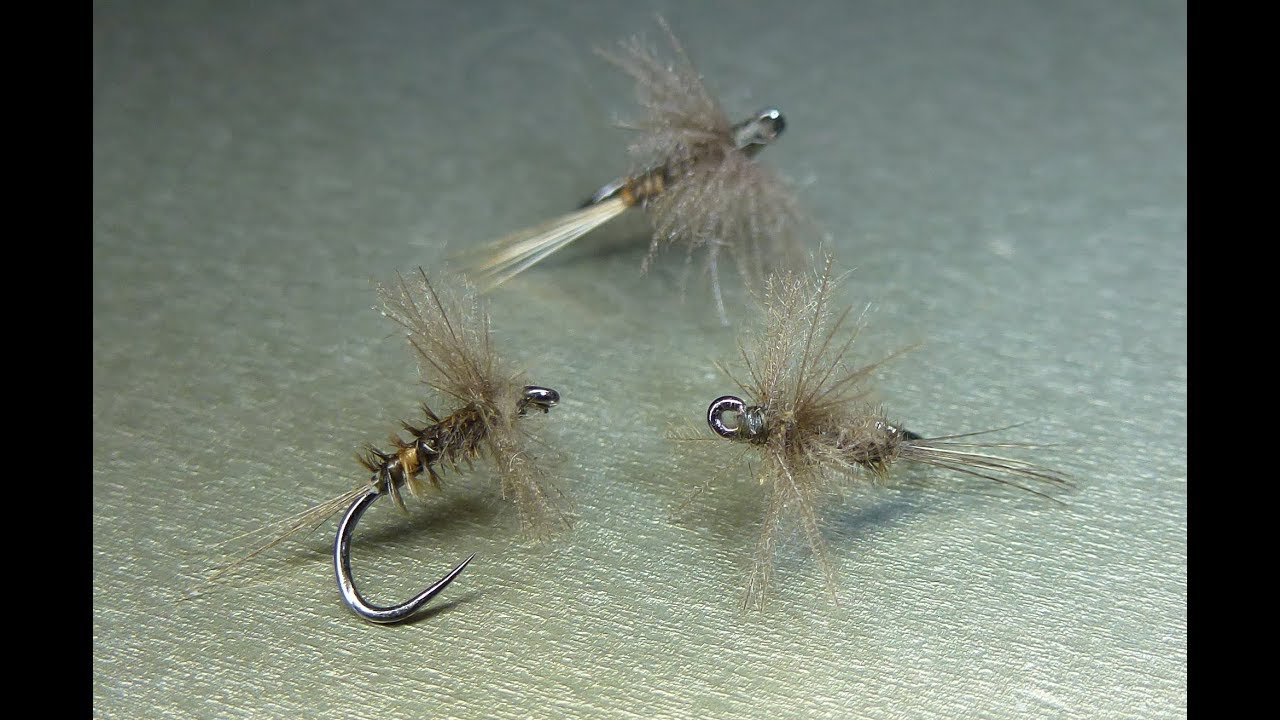 Moucheron CDC
