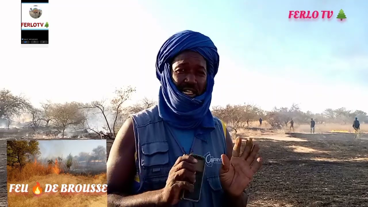 *le 15/12/2022*🔥 feu de brousse entre #madina Sandé et dendoudy**