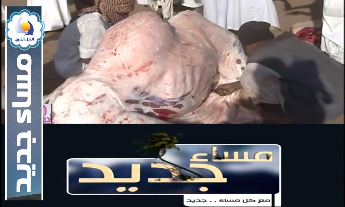 تكية زريبة الشيخ البرعي - مساء جديد - قناة النيل الازرق