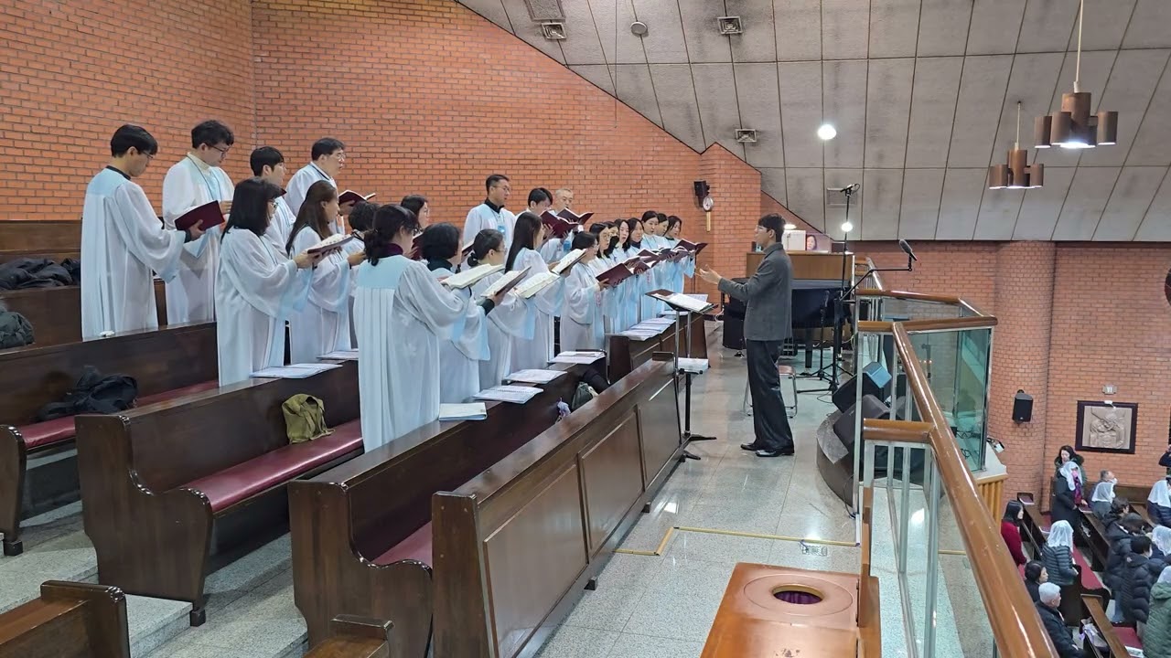 251206 (자) 대림 제2주일(인권 주일, 사회 교리 주간)