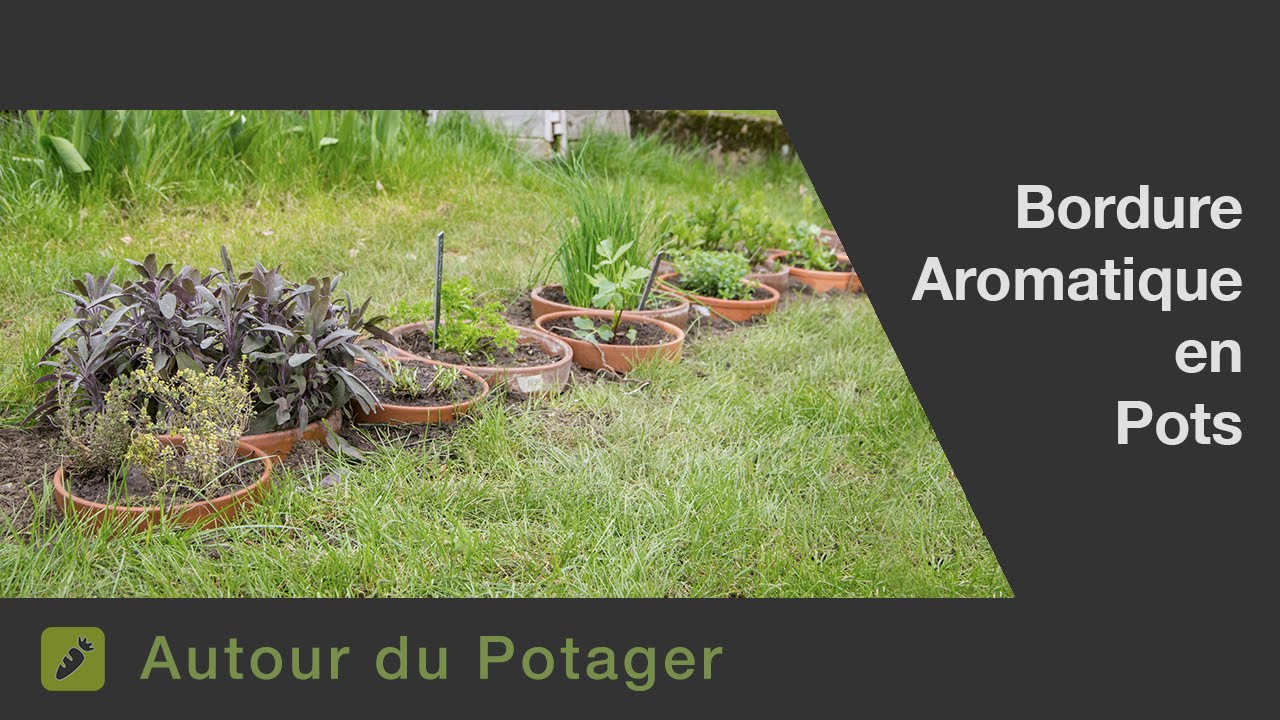 Cultiver ses aromatiques de façon originale : la bordure de pots