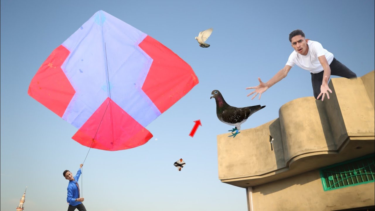 New Kite Buy With Bazi Kabooter Caught | Kite