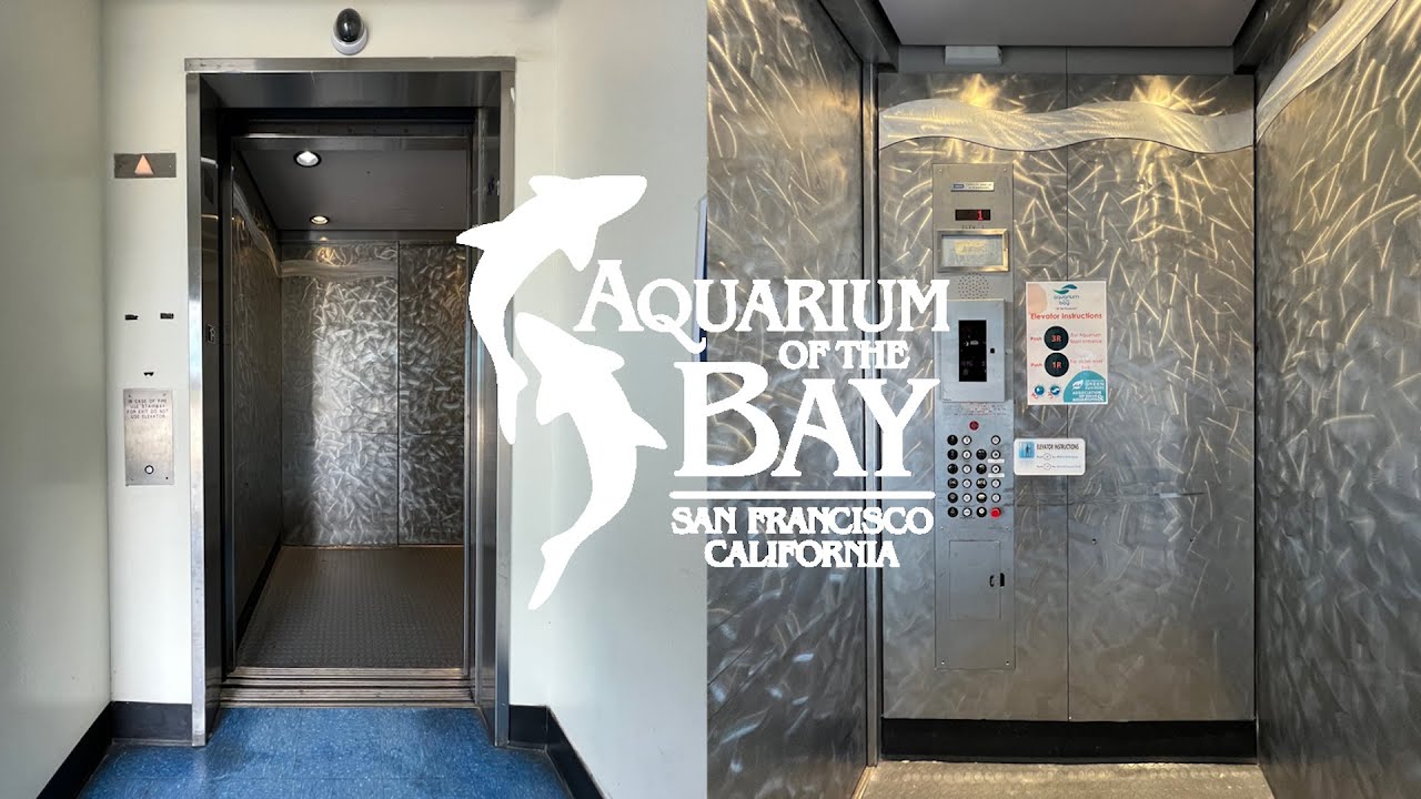 LOW ON OIL! Dover Hydraulic Elevator - Aquarium of The Bay - San Francisco, CA