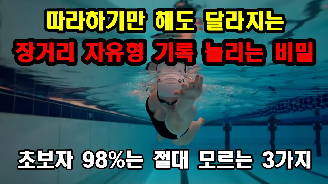수린이는 이것만 따라 하세요! 장거리 자유형 기록 늘리는 비밀 3가지