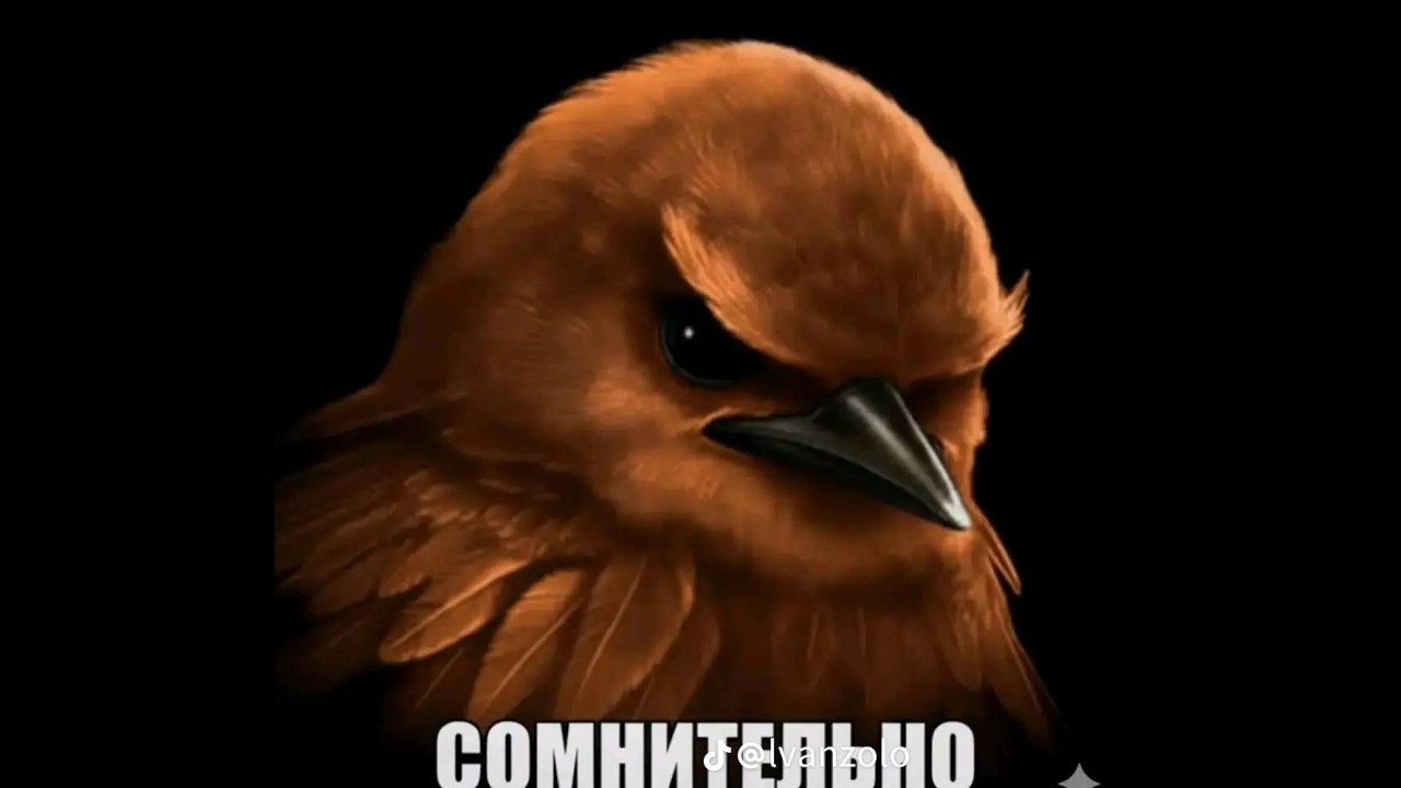 дик фемели