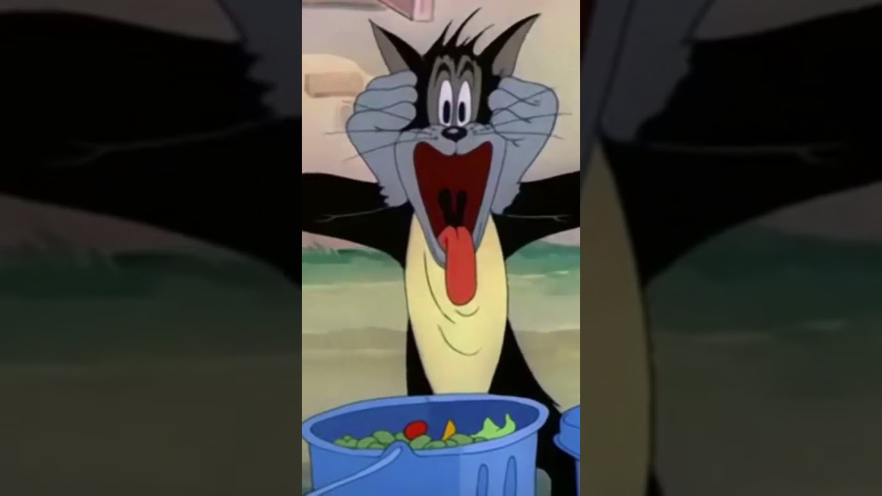 Butch the Cat goes insane!