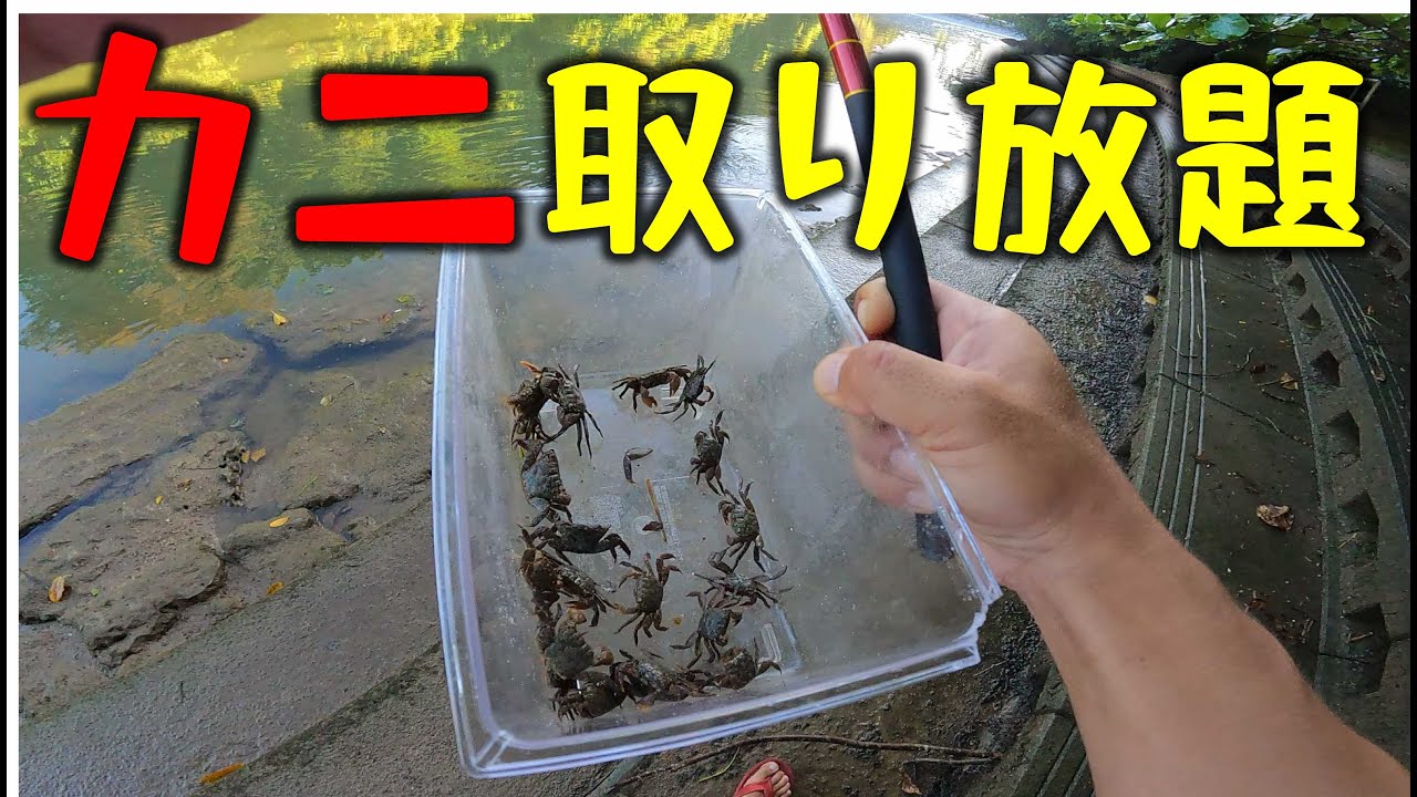 【カニを捕まえて大物を釣る！！】カニング釣行　沖縄釣り
