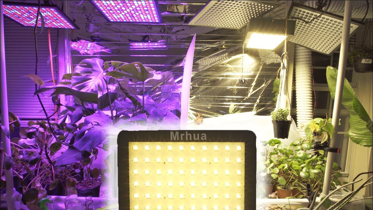 Artificial Sun: Mrhua 600w Light Review