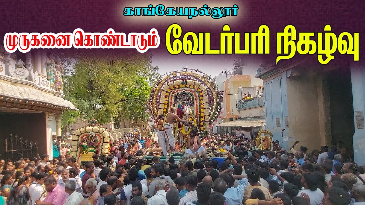 முருகனை கொண்டாடும் வேடர்பரி . காங்கேயநல்லூரில் களைகட்டிய திருவிழா . Vedarpari kangeyanalur