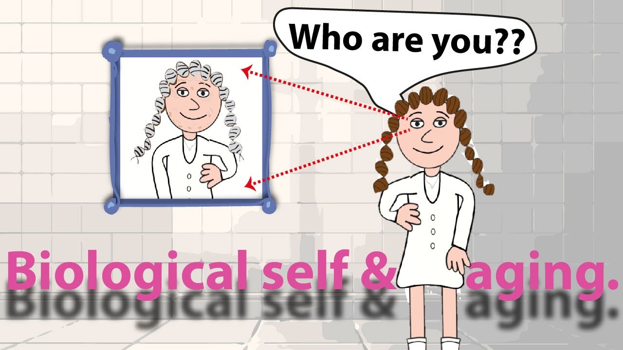 Is aging a loss of biological self?