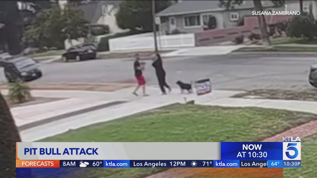 Pomona couple attacked by pit bull