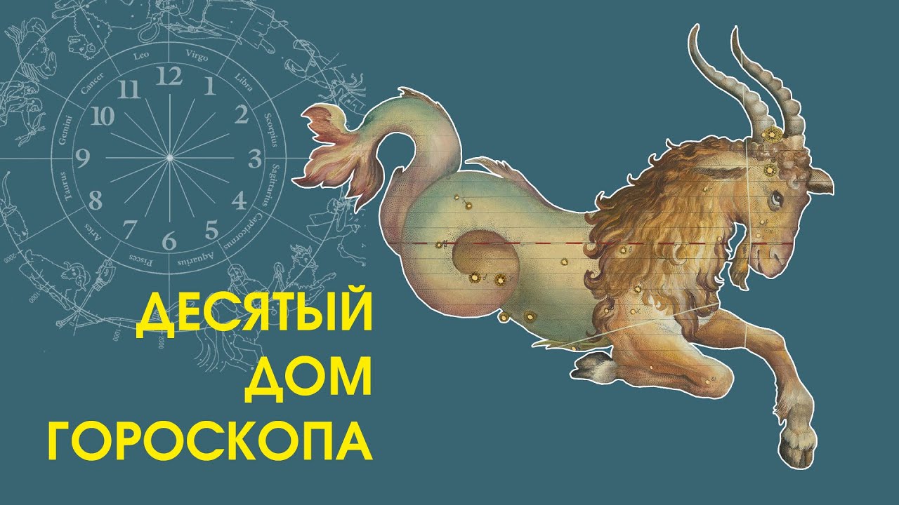 Десятый дом гороскопа: ваш стиль карьерного роста и социальная Персона