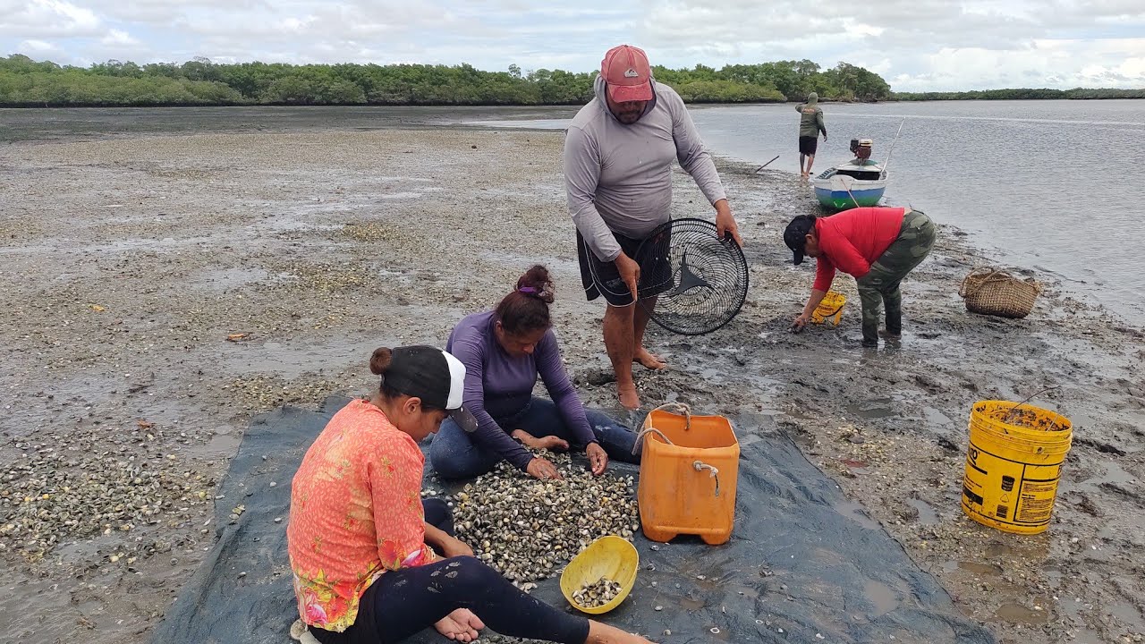 PESCARIA DE MARISCO NA ILHA NOSSA MANHA