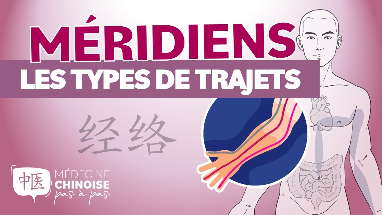 #43 - LES 4 TYPES DE MÉRIDIENS : qui sont-ils et comment les apprendre ?