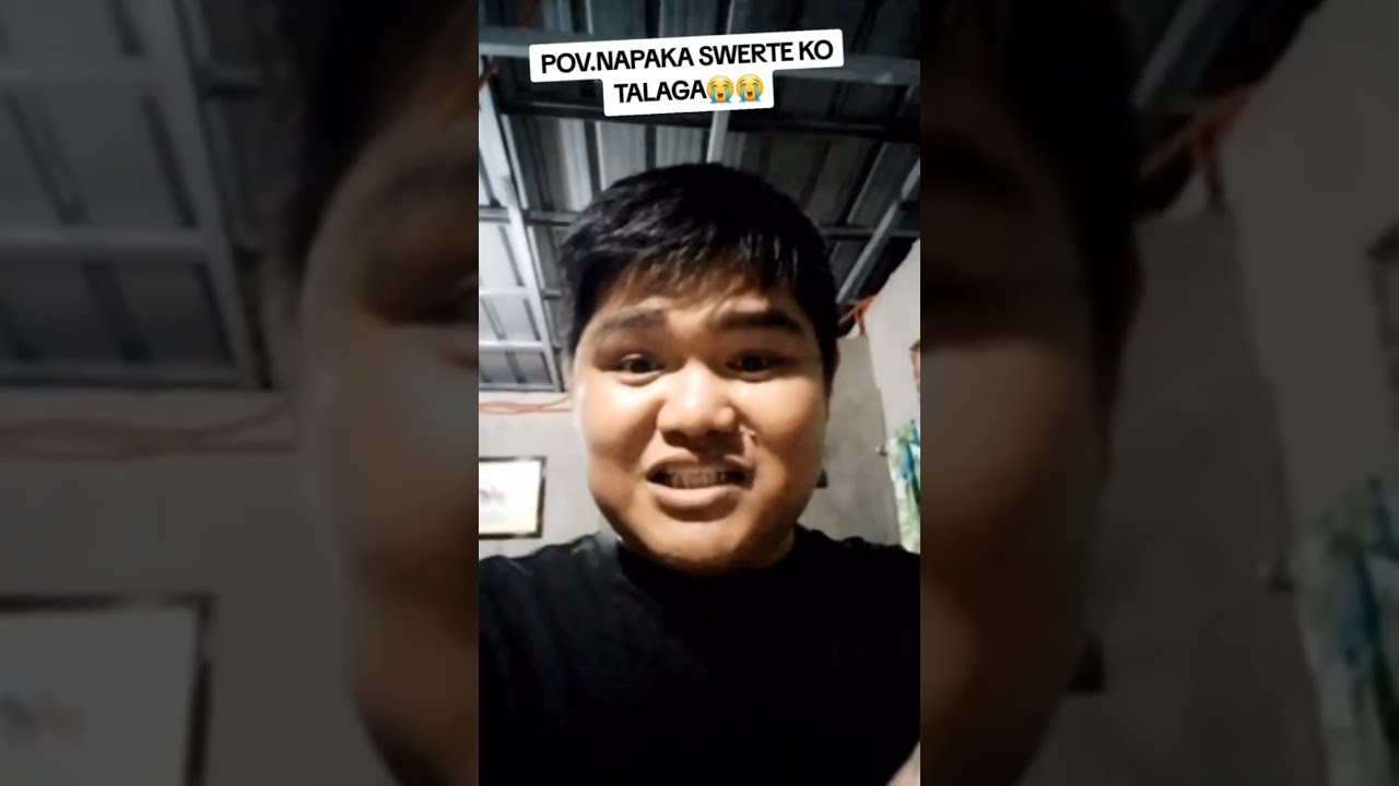 funny videos
