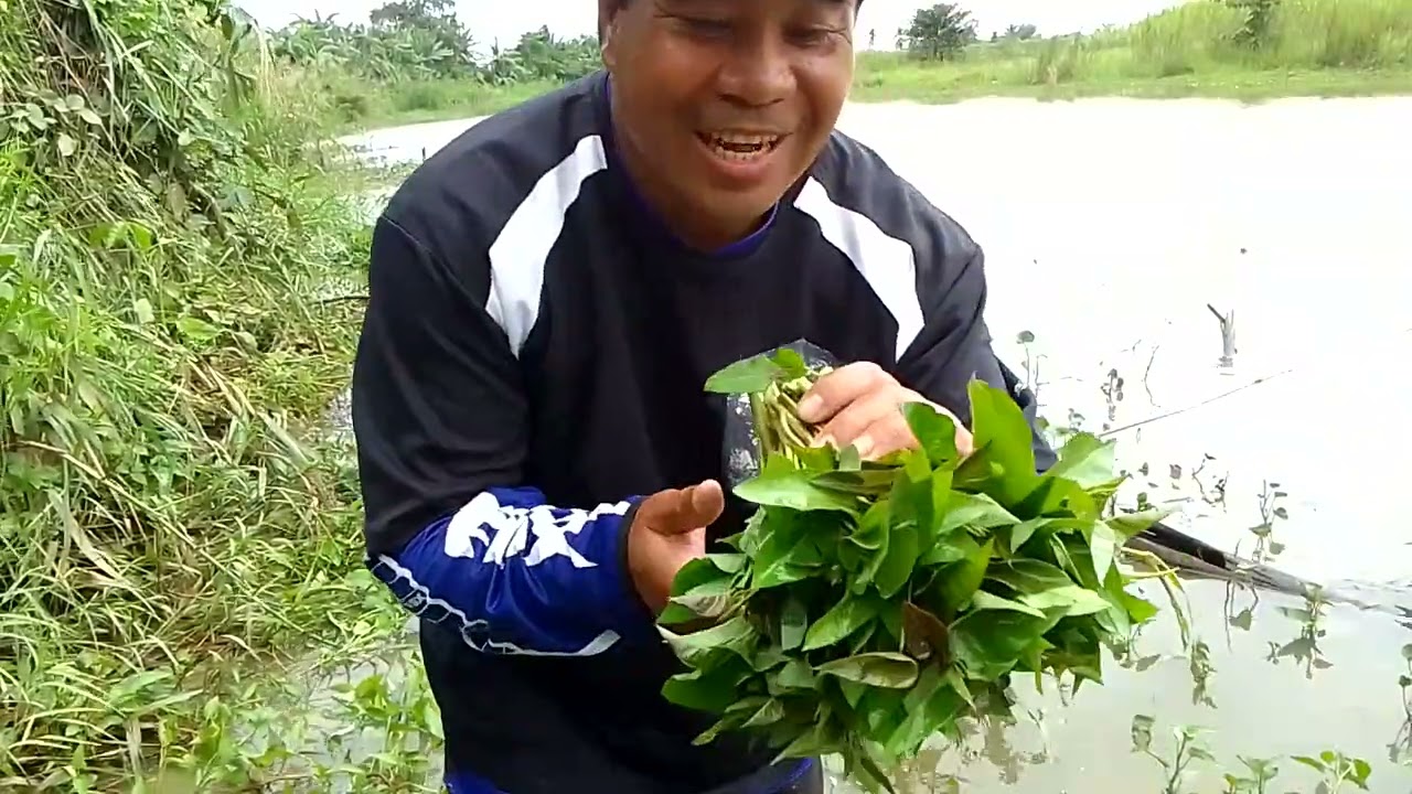 JACKPOT ANG Fishing Nakaholi Ng Apat Ng Malaking Hipon At maraming Tellapia SWERTE Nga yong ARAW