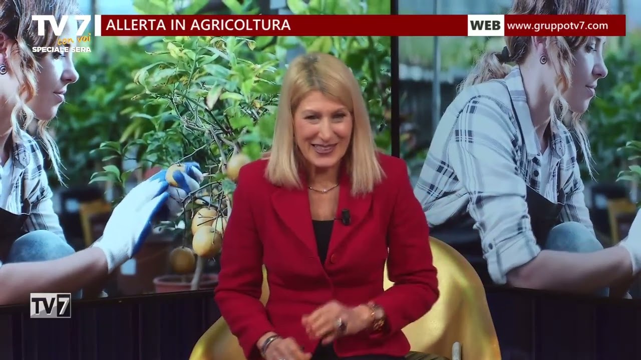 TV7 CON VOI SPECIALE SERA DEL 20/1/26 (1 di 3)