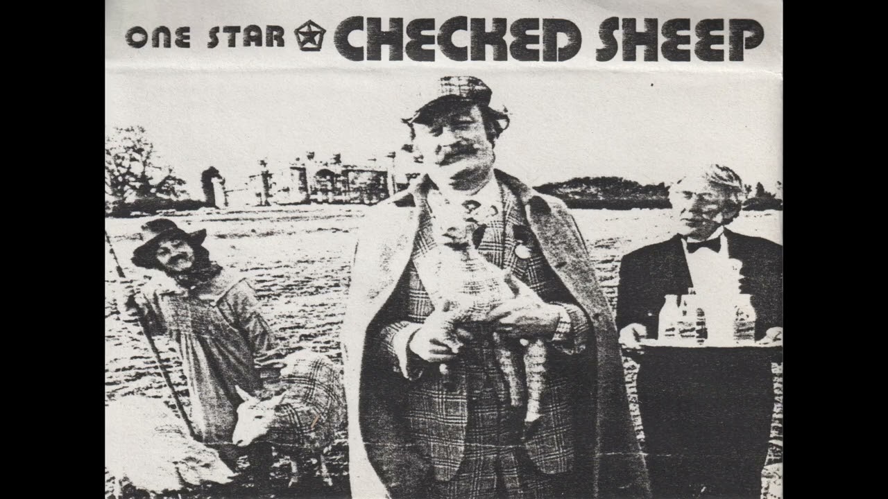 One Star - Checked Sheep