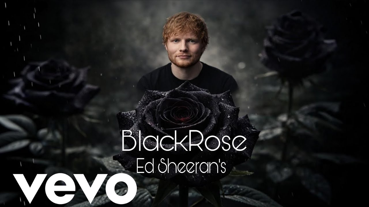 Ed Sheeran – BlackRose (Emotional Love Song 2026) | 