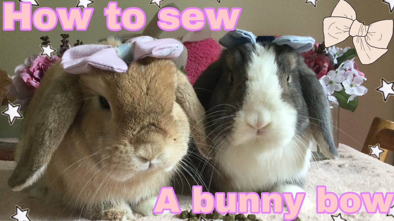 How to sew a bow for your bunny 🎀🐰