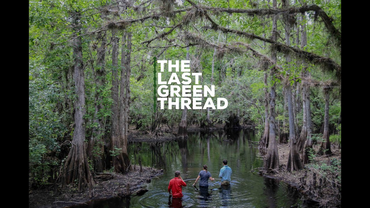 The Last Green Thread