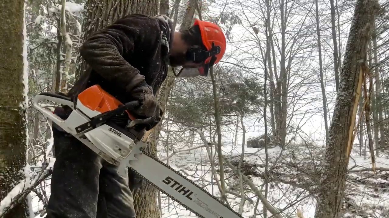 Stihl 462 Maine Logging