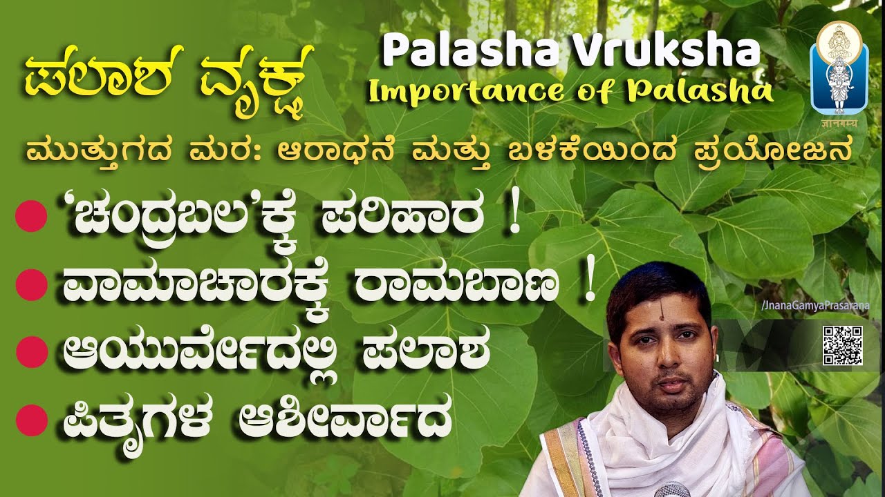 Palasha Vruksha: Importance of Palasha| ಪಲಾಶ ವೃಕ್ಷ: ವೈದಿಕ ಮತ್ತು ಲೌಕಿಕ ಪ್ರಯೋಜನ Vid SrinidhiAcharPyati