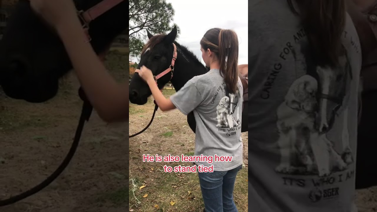 #horse #deafcowgirl #leteverydeafchildspeak #foryou #fyp #viral #explore 