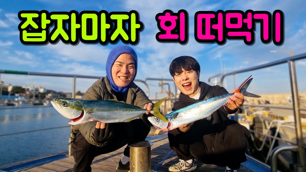 대왕 삼치&방어 잡자 마자 회 떠먹기ㅋㅋㅋ