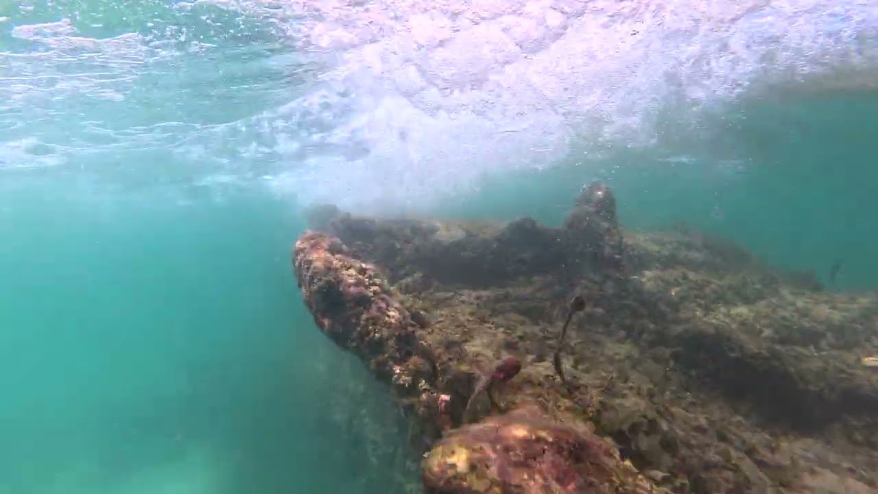 Snorkeling Omeo Wreck / North Coogee