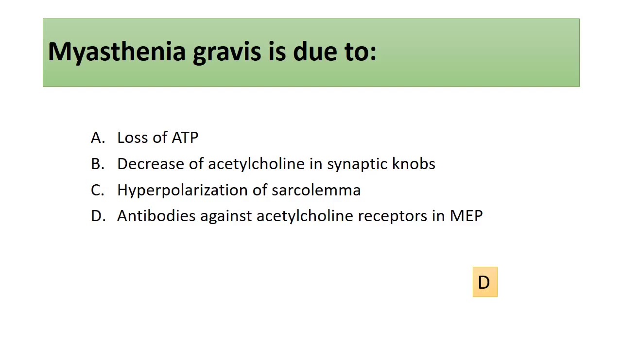 MED MUSI 111 neuromuscular junction SGD