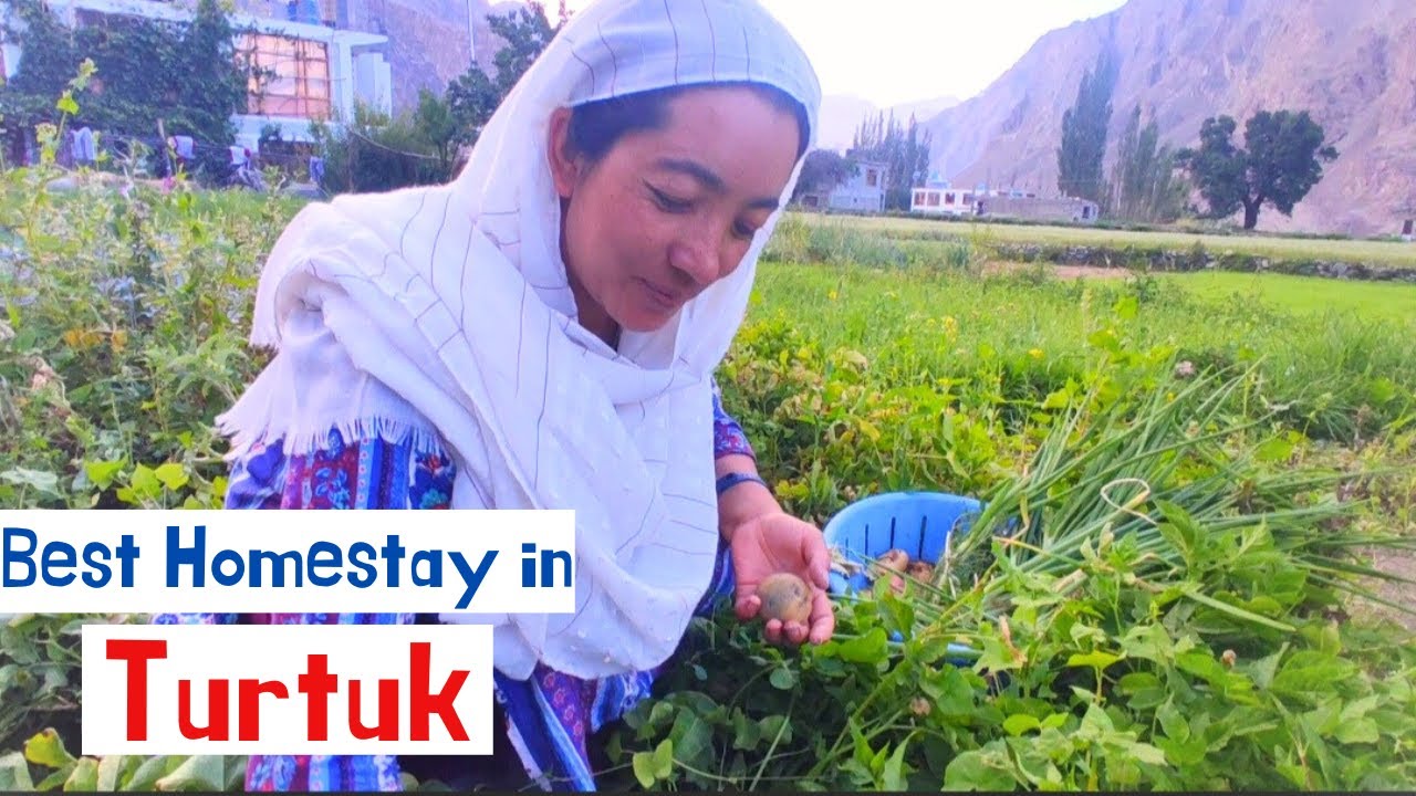 Best Homestay in Turtuk | Stay in Turtuk