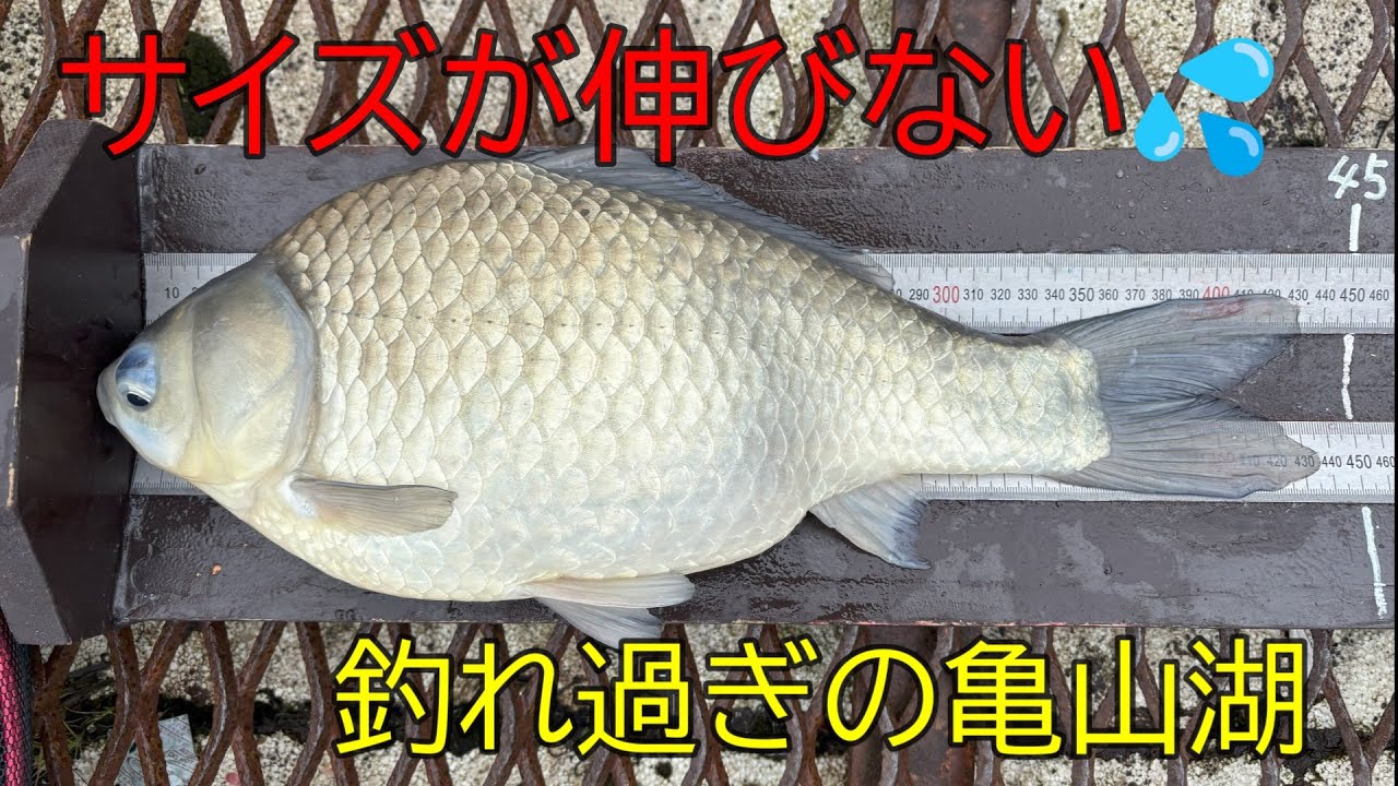 亀山湖・松下桟橋　2025年3月④