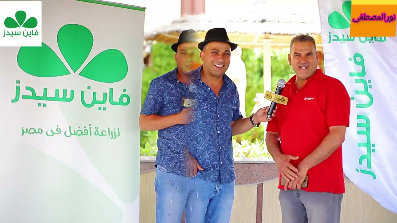 صنف خيار أرضى تايسون شركة فاين سيدز