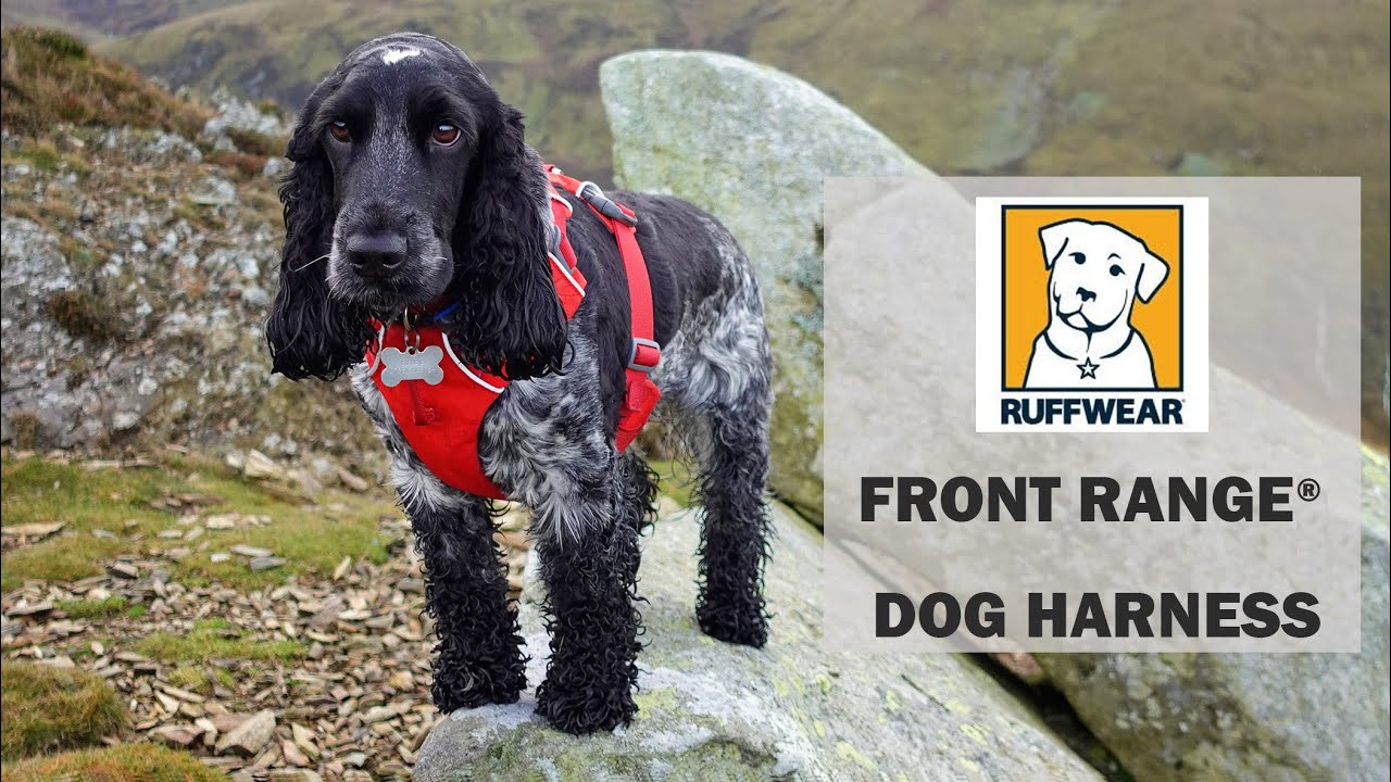 Ruffwear Front Range Harness Review