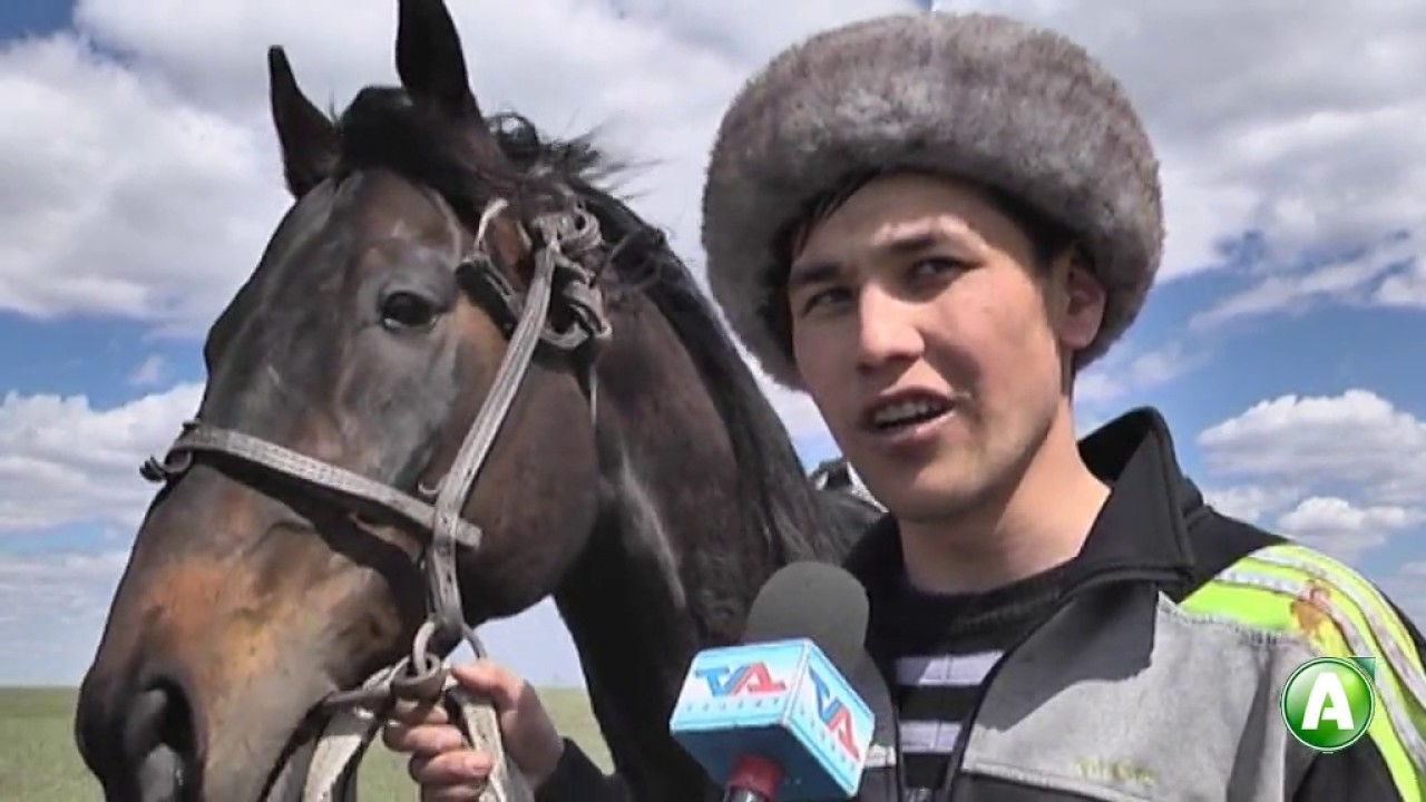 В Тарановском районе провели большой конно-спортивный праздник