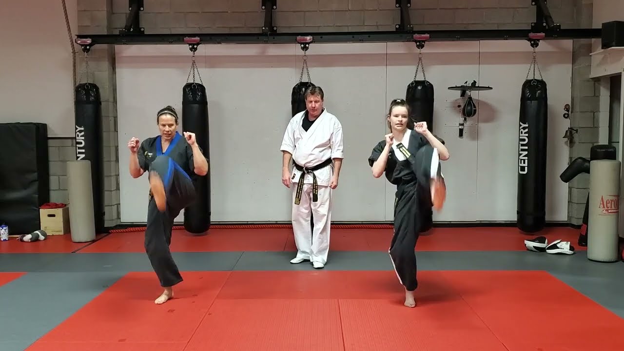Adult Brown Belt Pop Up Front & Roundhouse Kicks