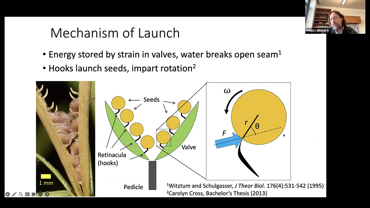 Dwight Whitaker: Nature's Weapons of Mass Reproduction