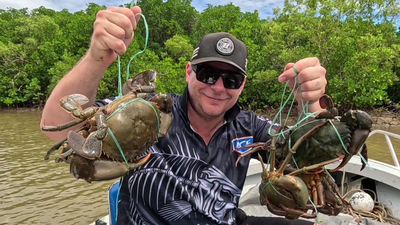 NEW CRAB POTS | STONKER MUD CRABS
