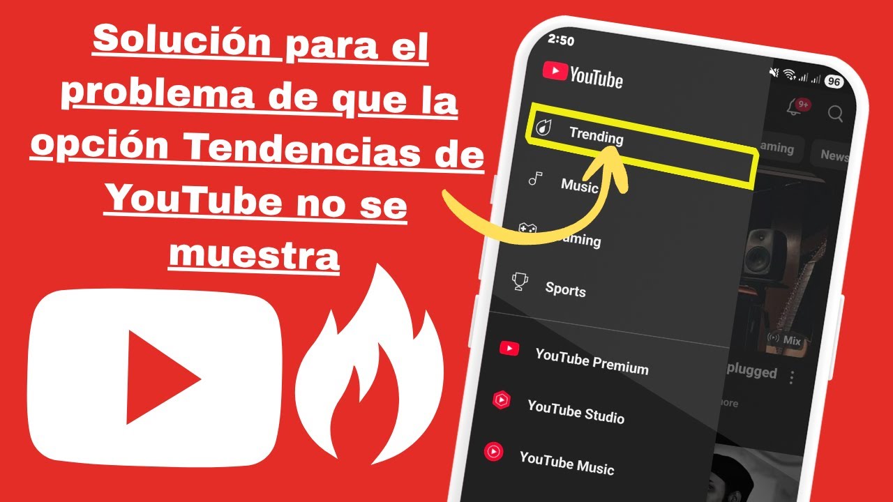 C&oacute;mo solucionar el problema de que la opci&oacute;n 