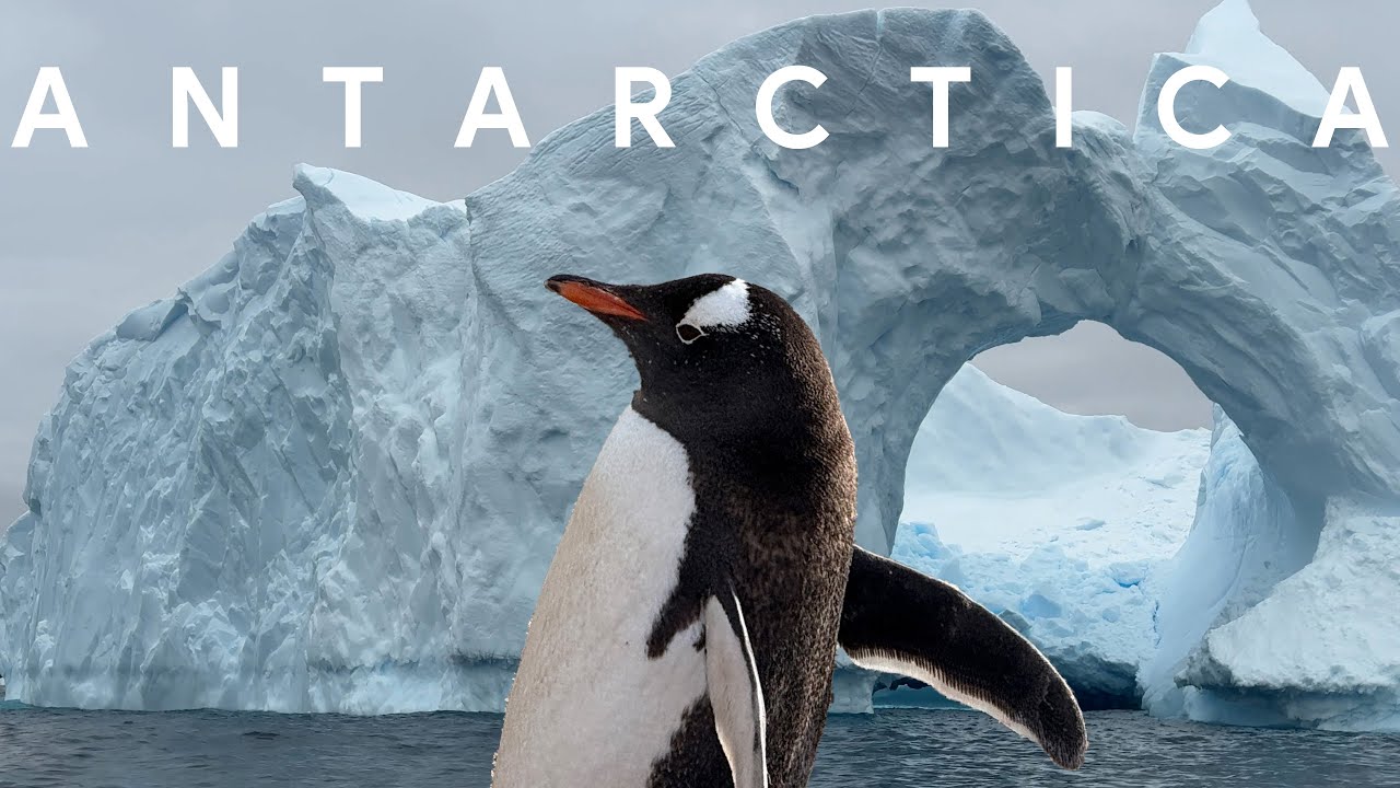 Antarctica: My Journey to the 7th Continent!