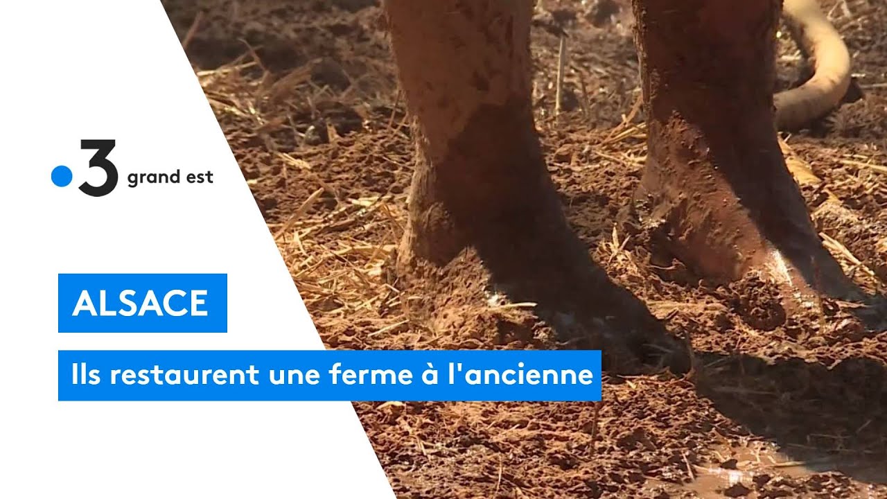 Alsace : ils restaurent une ferme &agrave; l'ancienne