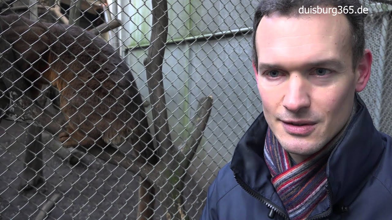 Letzter Arbeitstag im Zoo Duisburg - Gespraech mit Dr. Jochen Reiter