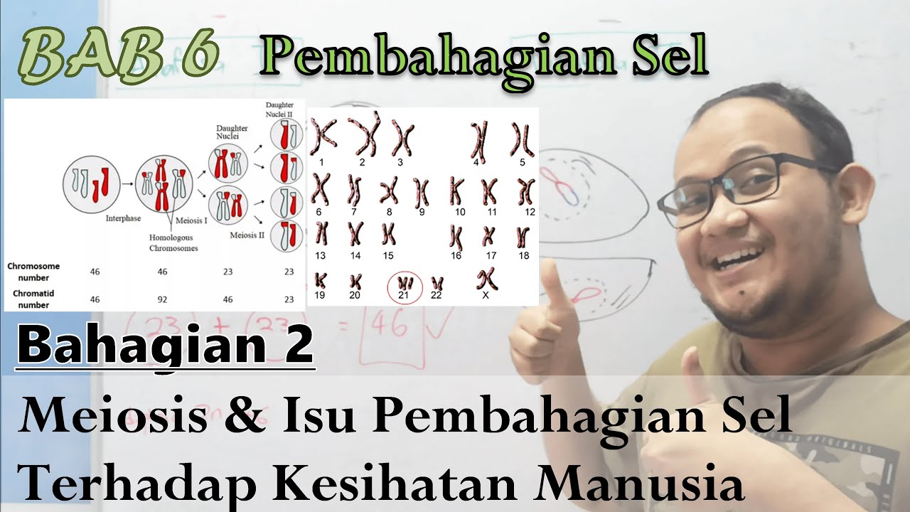KSSM Bio Ting. 4 - Bab 6 - Pembahagian Sel (Part 2: Meiosis & Isu Terhadap Kesihatan Manusia)