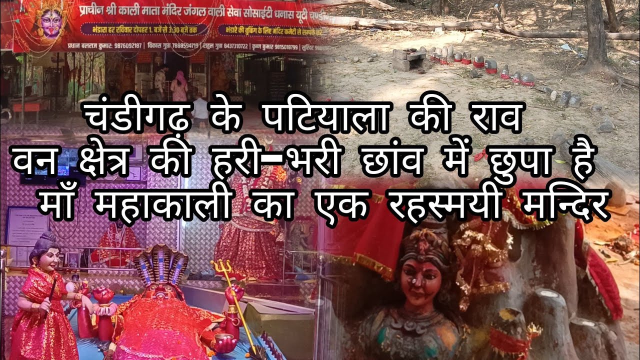 चंडीगढ़ के पटियाला की राव वन क्षेत्र की हरी-भरी छांव में छुपा है माँ महाकाली का एक रहस्मयी मन्दिर