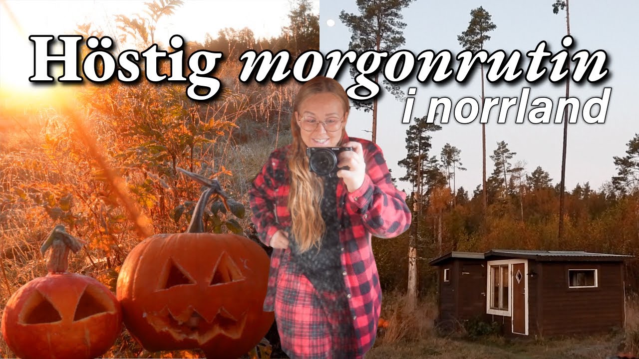 HÖSTIG MORGONRUTIN 2025 🍁