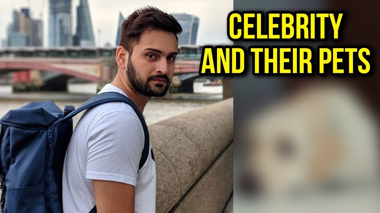 Latest Photos | Celebrities With Their Pets | Siddharth Chandekar, Resham Tipnis