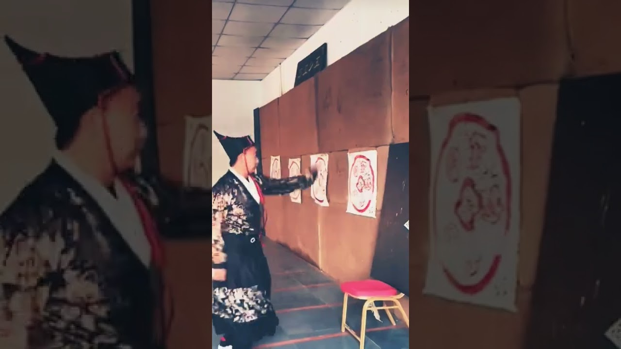 Chinese martial art #2